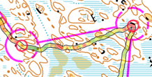 Color-coded route line